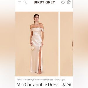 Birdy Grey Mia Convertible Dress in Shiny Satin Champagne - Brand New with Tags